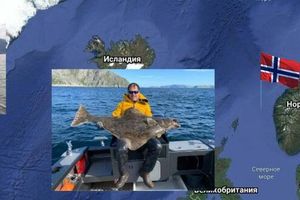 Где ловить треску в Норвегии: излюбленные места рыбы