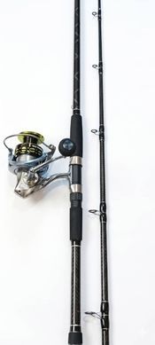Сомове вудилище WEIDA Giant Catfish 300 cm 600g