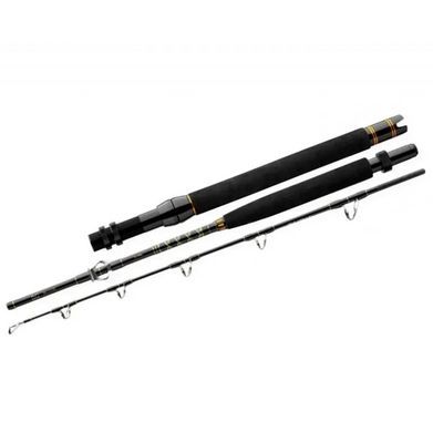 Спининг Daiwa BG Big Game 1.68m 300-800g (11929-166), до 800, 0.68, 560