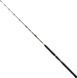 Спининг Daiwa BG Big Game 1.68m 300-800g (11929-166), до 800, 0.68, 560