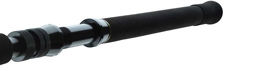 Спининг Daiwa BG Big Game 1.68m 300-800g (11929-166), до 800, 0.68, 560