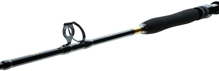 Спининг Daiwa BG Big Game 1.68m 300-800g (11929-166), до 800, 0.68, 560