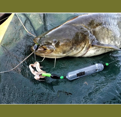 Рыбалка на джиг риг: тактика, снасти, забросы и приманки