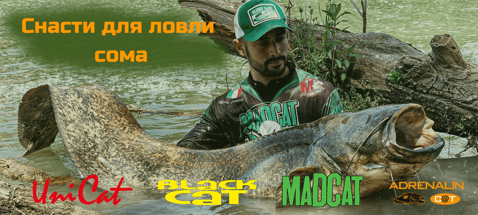 Снасті для лову сома