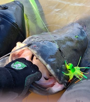 Приманка на сома DAM MADCAT Clonk Teaser The Original 200g (GREEN)